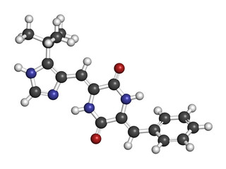 Plinabulin cancer drug molecule. 3D rendering. Atoms are represented as spheres with conventional color coding: hydrogen (white), carbon (grey), nitrogen (blue), oxygen (red).