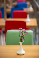 stylish and beautiful cafe interior
