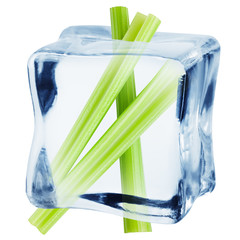 celery in ice cube, isolated on white background, clipping path, full depth of field