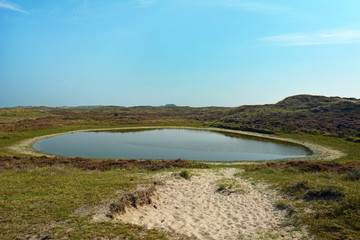Waterin hole for animals in nature reserve called 'Bollekamer' on island Texel in North Netherland