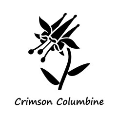 Crimson columbine glyph icon. Aquilegia formosa inflorescence. Blooming wildflower. Red columbine. Wild herbaceous plant with name. Silhouette symbol. Negative space. Vector isolated illustration