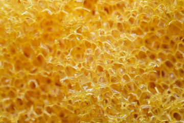 closeup of the structure of filaments