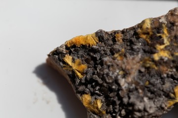 Crystal needles of Uranophane, a uranium bearing mineral and ore © ChrWeiss