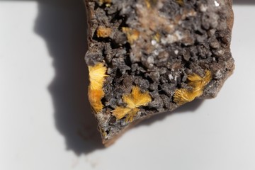 Crystal needles of Uranophane, a uranium bearing mineral and ore © ChrWeiss