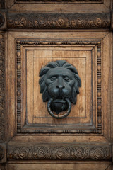 beautiful front doors made of wood
