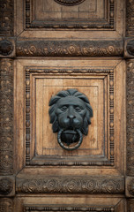 beautiful front doors made of wood