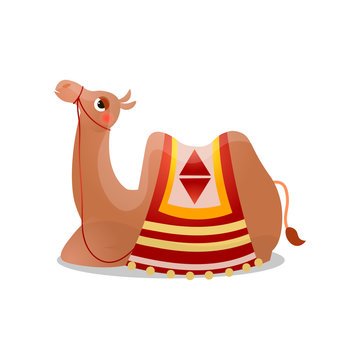 Camel sitting with a saddle. Raster illustration in flat cartoon style on white background.