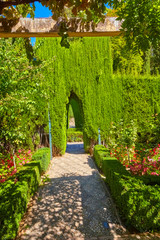Famous garden in the Alhambra at Granada in Spain.
