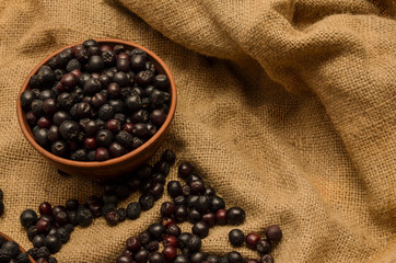 Black mountain ash in a ceramic Cup on the background of burlap.