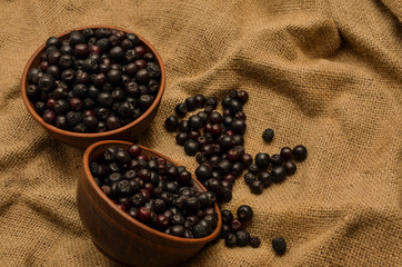 Black mountain ash in a ceramic Cup on the background of burlap. Harvesting for the winter. Gift of nature.