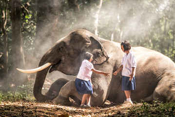Obraz premium Schoolgirls playing in the jungle with the elephant