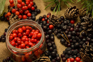 Black Rowan and red Rowan, pine cones and branches on the background of burlap. Preparations for the winter. Gift of nature.