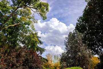 Mountain landscape with autumn clouds.