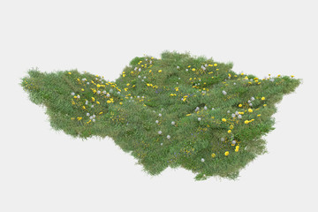 Grass isolated. Image useful for banners, posters or photo maipulations. 3d rendering.