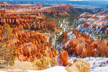 Ranks of Hoodoos in Bryce Canyon