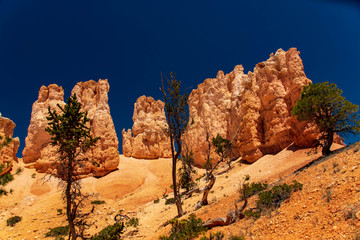 Hoodoos and Spires Along the Fairyland Loop Trail