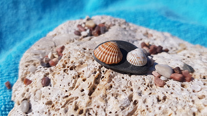 Sea shells scene, background with empty space, stone, exotic blue , summertime postcard with seaside motives 