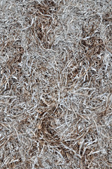 Gray texture of dry, withered, last year's grass.