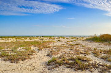 Wild beach landscape against the sea and blue sky