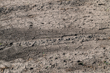 Surface of dry lifeless field. Desert soil cracked by drought.