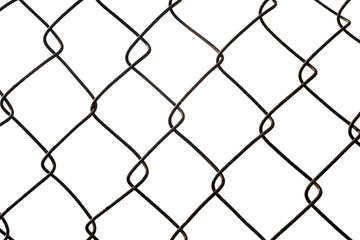 Naklejka premium Metal chain links wire-mesh rabitz isolated on white background