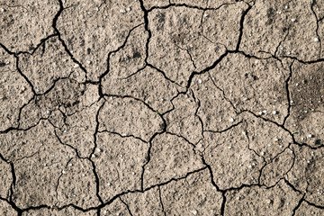 Texture of dry cracked soil (black chernozem soil). Flat surface. Drought season.