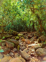 Beauty of clouds and nature in the western ghats in India.