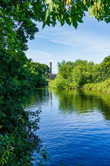 Fototapeta premium A view of majestic trees along the bank of a calm river with a house in the background under a majestic blue sky and white clouds