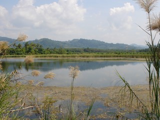 Fototapeta na wymiar landscape with lake 