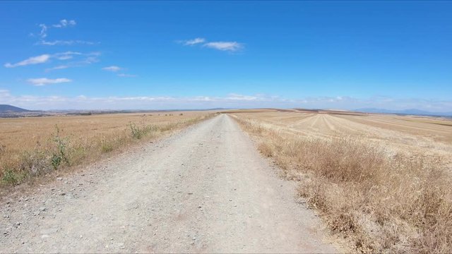 a dirt road on a summer landscape between La Haba and Don Benito, province of Badajoz, Extremadura, Spain
