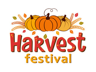 Harvest Festival hand drawn lettering and typographic text with pumpkins, leaves, wheat ears. Harvest symbols. Autumn harvest fest design for banner, poster, cards, tags. Isolated vector illustration