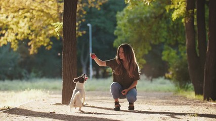 Attractive young woman playing with jack russel terrier in park during beautiful sunset, super slow motion