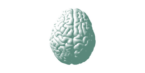 Green engraving brain isolated on white BG