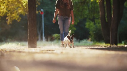 Young woman playing with dog jack russel terrier in park during beautiful sunset. Dog trying to catch the ball, super slow motion, low angle view
