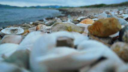 stones on the beach