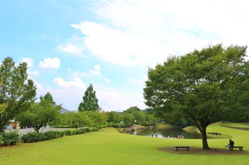 Fototapeta premium 風景 夏 空 池 緑 杤木 公園