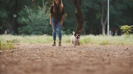 Young woman playing with dog jack russel terrier in park during beautiful sunset. Dog trying to catch the ball, super slow motion, low angle view