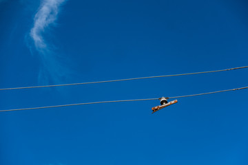 two electric wires under clear blue sky with one piece of thin cloud passing by