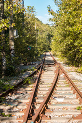 Obraz premium abandoned railway intersection in the urban area with both sides filled with trees and green bushes under the sun