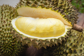 Mon Thong durian fruit from Thailand