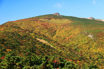 みちのくの秋　安達太良山の紅葉　