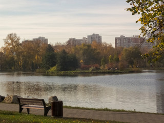 A bench by the pond in the park, the sun is shining, and it's autumn