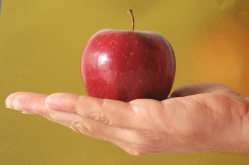 Apple on the Hand