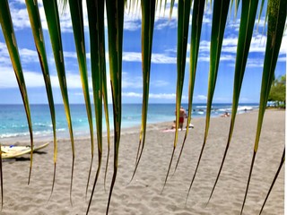 Beautiful beach in Paradise on Tropical Island Maui Hawaii with palm trees
