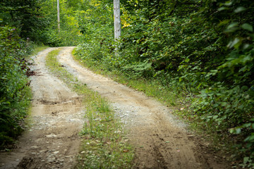 Fototapeta premium Old Country Road In Maine 