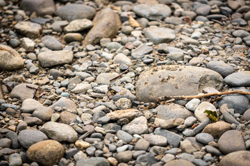 Rocks On Summer Day Background 