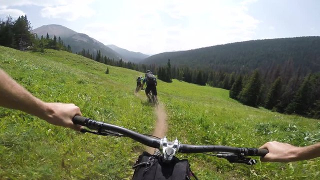 Three People Mountain Biking Through Meadow Of Flowers On A Sunny Day