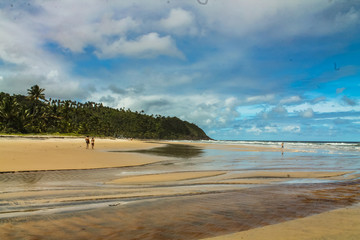 Itacarezinho Beach in Itacar&eacute;, Bahia, with sunny skies, tropical landscapes, a stretch of golden sand, and palm trees in the background, offering a glimpse of preserved nature