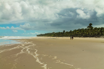 Fototapeta na wymiar The tropical beauty of northeastern Brazil - Itacarezinho Beach - Itacare - BR