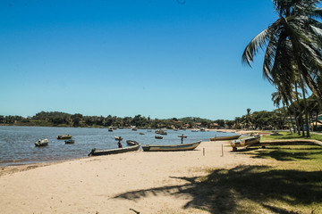 The tropical beauty of northeastern Brazil